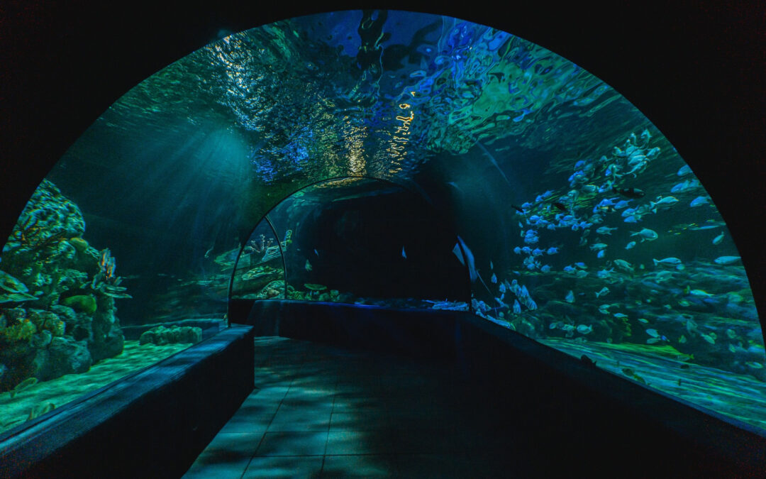 Siem Reap Angkor Wildlife & Aquarium