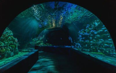 Siem Reap Angkor Wildlife & Aquarium