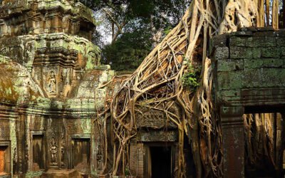Cambodia Heritage 4 Days tour