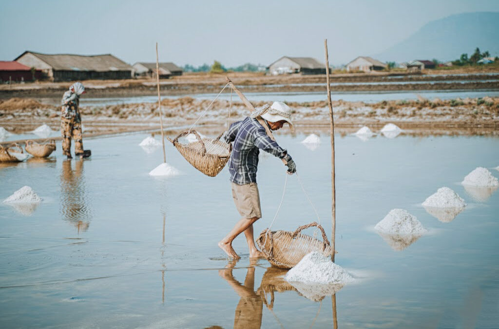 Kampot Pepper Farm and Kep Discovery Tour