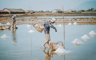 Kampot Pepper Farm and Kep Discovery Tour