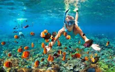 Cambodia 9 Day Tour Package Siem Reap, Angkor, Koh Rong and Capital City