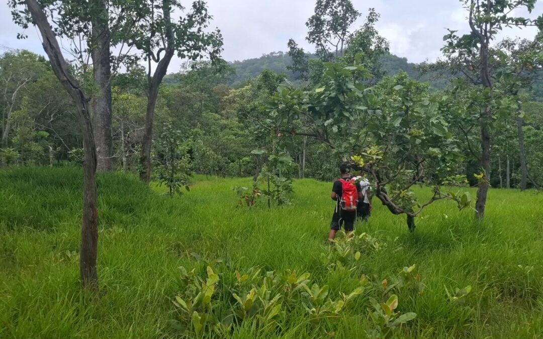 Trekking at Phnom Kulen National Park