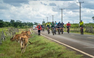 8 Day Cambodia Cycling and Cultural Adventure