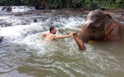 4 Day Mondulkiri Discovery Tour