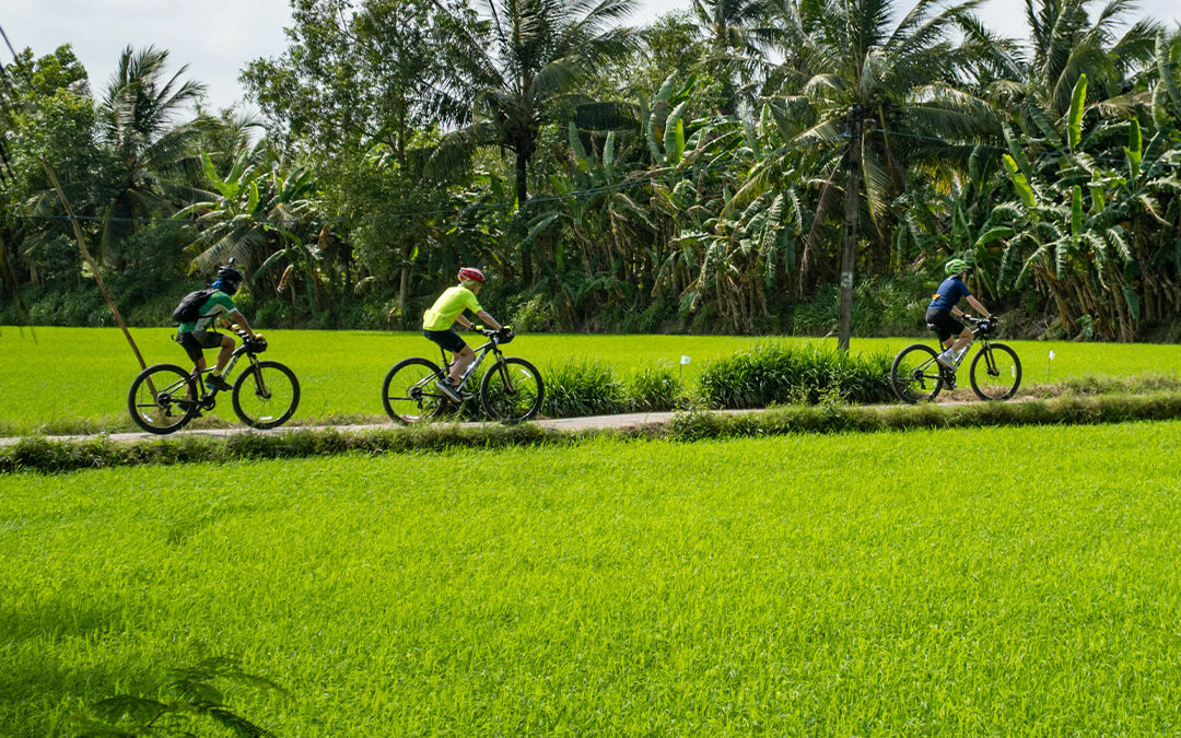 Battambang Cycling Day Tour