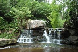 Phnom Penh to Kirirom National Park Day Trip